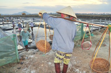 Ninh Hoa, Vietnam - 2 Mart 2012: Vietnam kadın sert tuz özü alanlardan depolama alanları için toplamak için akneden