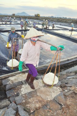 Ninh Hoa, Vietnam - 2 Mart 2012: Vietnam kadın sert tuz özü alanlardan depolama alanları için toplamak için akneden