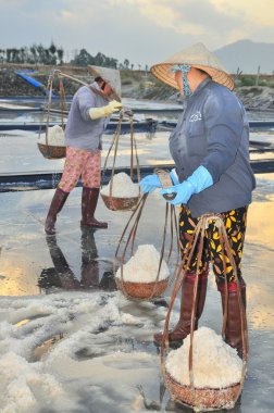 Ninh Hoa, Vietnam - 2 Mart 2012: Vietnam kadın sert tuz özü alanlardan depolama alanları için toplamak için akneden