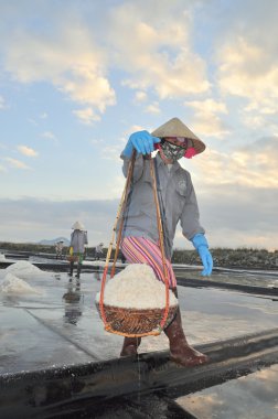 Ninh Hoa, Vietnam - 2 Mart 2012: Vietnam kadın sert tuz özü alanlardan depolama alanları için toplamak için akneden