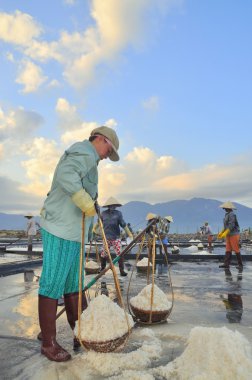 Ninh Hoa, Vietnam - 2 Mart 2012: Vietnam kadın sert tuz özü alanlardan depolama alanları için toplamak için akneden