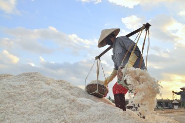 Ninh Hoa, Vietnam - 2 Mart 2012: Vietnam kadın sert tuz özü alanlardan depolama alanları için toplamak için akneden