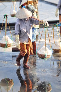 Ninh Hoa, Vietnam - 2 Mart 2012: Vietnam kadın sert tuz özü alanlardan depolama alanları için toplamak için akneden