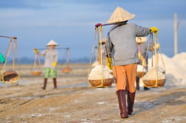 Ninh Hoa, Vietnam - 2 Mart 2012: Vietnam kadın sert tuz özü alanlardan depolama alanları için toplamak için akneden