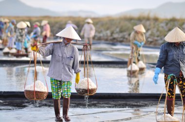 Ninh Hoa, Vietnam - 2 Mart 2012: Vietnam kadın sert tuz özü alanlardan depolama alanları için toplamak için akneden