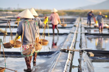 Ninh Hoa, Vietnam - 2 Mart 2012: Vietnam kadın sert tuz özü alanlardan depolama alanları için toplamak için akneden