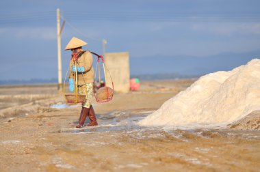 Ninh Hoa, Vietnam - 2 Mart 2012: Vietnam kadın sert tuz özü alanlardan depolama alanları için toplamak için akneden