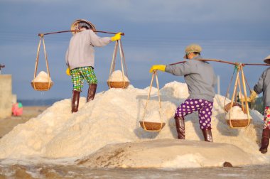 Ninh Hoa, Vietnam - 2 Mart 2012: Vietnam kadın sert tuz özü alanlardan depolama alanları için toplamak için akneden