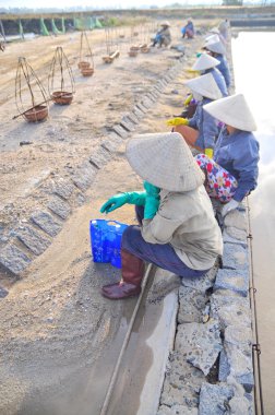Ninh Hoa, Vietnam - 2 Mart 2012: Vietnam kadın tuz işçilerin tuz özü alanlardan depolama alanları için toplamak sıkı çalışmak sonra rahatlatıcı