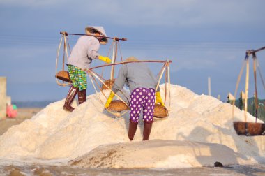 Ninh Hoa, Vietnam - 2 Mart 2012: Vietnam kadın sert tuz özü alanlardan depolama alanları için toplamak için akneden