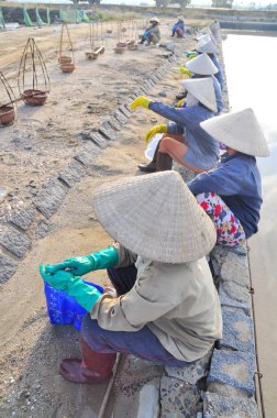 Ninh Hoa, Vietnam - 2 Mart 2012: Vietnam kadın tuz işçilerin tuz özü alanlardan depolama alanları için toplamak sıkı çalışmak sonra rahatlatıcı