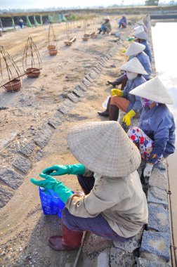 Ninh Hoa, Vietnam - 2 Mart 2012: Vietnam kadın tuz işçilerin tuz özü alanlardan depolama alanları için toplamak sıkı çalışmak sonra rahatlatıcı