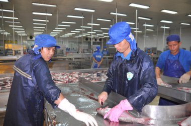 Can tho, Vietnam - 1 Temmuz 2011: İşçi pangasius yayın balığı deniz ürünleri fabrikası Vietnam Mekong Deltası'nda onları sonraki işleme için giriş aktarma önce öldürüyor