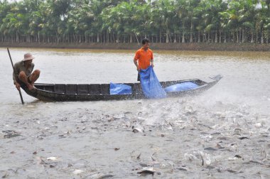 Can tho, Vietnam - 1 Temmuz 2011: Çiftçiler Vietnam mekong Deltası'nda kendi havuzda pangsius yayın balığı beslemek için