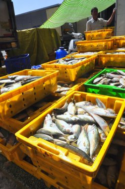 Kien Giang, Vietnam - 13 Mart 2014: Sepetleri için Cai Tac dock Vietnam yerel deniz ürünleri fabrikasında kamyonlara yükleme için bekleyen balıklar konur