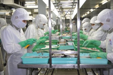 Ho Chi Minh city, Vietnam - 3 Ekim 2011: işçi are çalışma sert bir deniz ürünleri fabrikasında Ho Chi Minh city, Vietnam