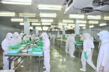 Ho Chi Minh city, Vietnam - October 3, 2011: Workers are cutting raw fresh materials in a seafood factory in Ho Chi Minh city, Vietnam clipart