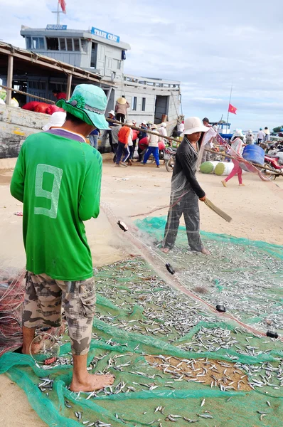 Quang Ngai, Vietnam - July 31, 2012: Fishermen are removing anchovies fish from their nets to start a new working day in Ly Son island — Stock Photo, Image