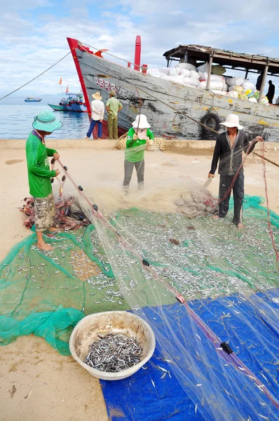 Quang Ngai, Vietnam - 31 juli 2012: Fiskare tar bort ansjovis fisk från sina nät att starta en ny arbetsdag i Ly Son island — Stockfoto