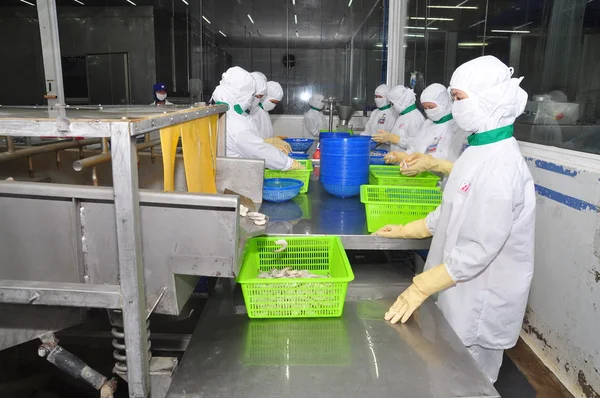 Hau Giang, Vietnã - 23 de junho de 2013: Trabalhadores estão trabalhando com uma máquina de dimensionamento de camarão em uma fábrica de processamento em Hau Giang, uma província no delta do Mekong do Vietnã — Fotografia de Stock