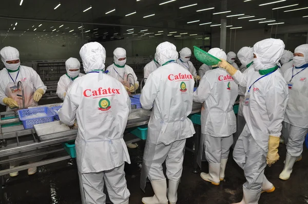 Hau Giang, Vietnam - 23 Haziran 2013: İşçi işleme tesisi Hau Giang, Mekong delta Vietnam ilinde bir karides içinde çalışıyoruz