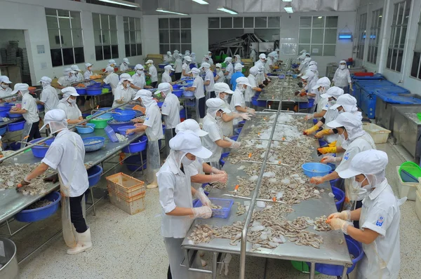Το βροχερό Quy Nhon, Βιετνάμ - Αυγούστου 1, 2012: Εργαζόμενοι ξεφλούδισμα φρέσκα γαρίδες raw σε ένα εργοστάσιο θαλασσινά σε Quy Nhon πόλη, Βιετνάμ — Φωτογραφία Αρχείου