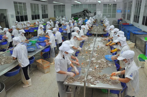 Quy Nhon, Vietnam - 1 de agosto de 2012: Los trabajadores están pelando camarones crudos frescos en una fábrica de mariscos en la ciudad de Quy Nhon, Vietnam — Foto de Stock
