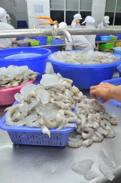 Quy nhon, Vietnam - 1. August 2012: Arbeiter schälen frische rohe Garnelen in einer Fischfabrik in der Stadt quy nhon, Vietnam — Stockfoto