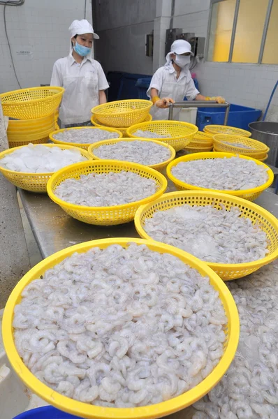 Quy Nhon, Vietnam - 1 de agosto de 2012: Los camarones están siendo pelados y lavados antes de congelarse en una fábrica de mariscos en la ciudad de Quy Nhon, Vietnam — Foto de Stock