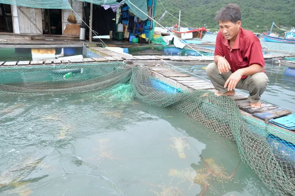 Phu Yen, Vietnã - 21 de dezembro de 2011: Um fazendeiro com sua gaiola de lavoura de lagosta na baía de Vung Ro, no Vietnã — Fotografia de Stock