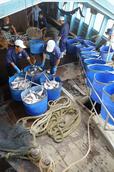 Tien giang, Vietnam - 30. August 2012: Pangasiuswelse werden per Eimer vom Hauptboot zur Verarbeitungsanlage transportiert — Stockfoto