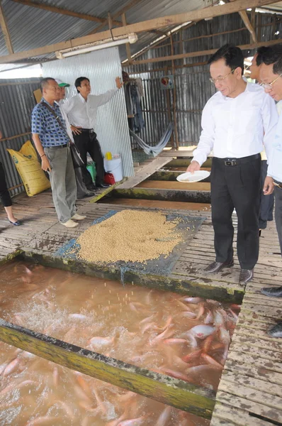 Dong Thap, Vietnam - 31 de agosto de 2012: Agricultura de tilapia roja en jaula en el río en el delta del mekong de Vietnam — Foto de Stock