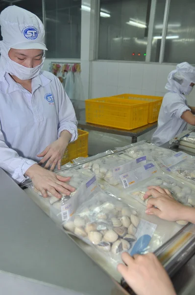 Tien giang, Vietnam - 11. September 2013: Muscheln werden in einer Fischverarbeitungsanlage in tien giang, einer Provinz im Mekong-Delta Vietnams, gewaschen und verpackt. — Stockfoto