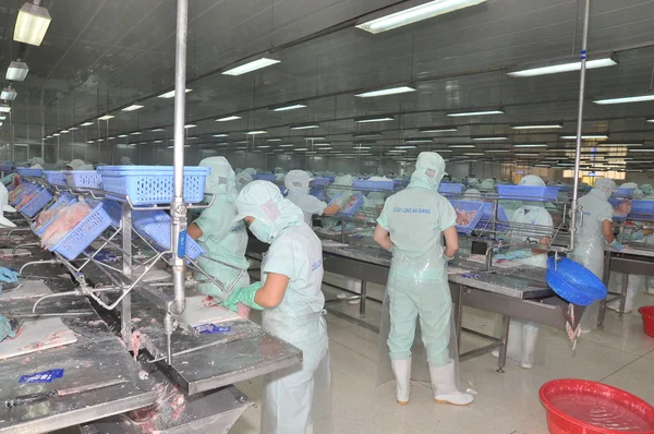 An Giang, Vietnam - September 12, 2013: Workers are filleting of pangasius catfish  in a seafood processing plant in An Giang, a province in the Mekong delta of Vietnam — Stock Photo, Image