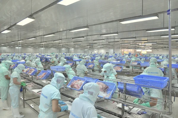 En Giang, Vietnam - September 12, 2013: Arbetstagare filetering av pangasius havskatt i en skaldjur bearbetningsanläggningen i An Giang, en provins i Mekongdeltat i Vietnam — Stockfoto