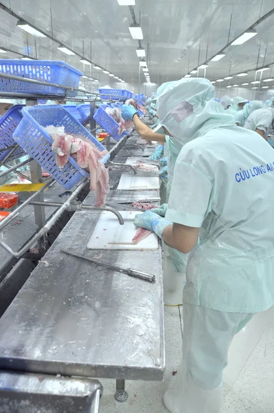 An Giang, Vietnam - 12 September 2013: Para pekerja pengisian ikan lele pangasius di sebuah pabrik pengolahan makanan laut di An Giang, sebuah provinsi di delta Mekong, Vietnam — Stok Foto