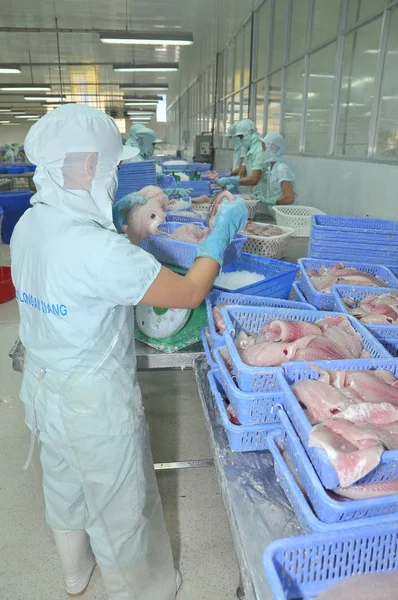 An Giang, Vietnam - 12 de septiembre de 2013: Los trabajadores pesan filete de bagre pangasius en una planta procesadora de mariscos en An Giang, provincia del delta del Mekong de Vietnam — Foto de Stock