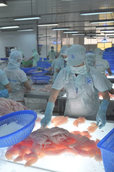 An Giang, Vietnam - 12 settembre 2013: I lavoratori stanno testando la qualità del colore dei filetti di pesce pangasio in uno stabilimento di lavorazione dei frutti di mare a An Giang, una provincia del delta del Mekong in Vietnam — Foto Stock