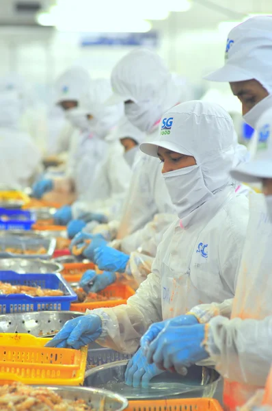 Ho Chi Minh city, Vietnam - January 5, 2012: Workers are peeling fresh raw shrimps in a seafood factory in Vietnam — Stockfoto