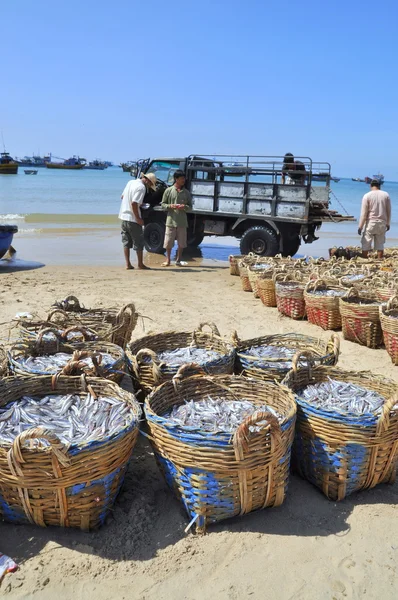 Lagi, Vietnam - 26 de febrero de 2012: La pesca se encuentra en la playa en muchas cestas esperando a subir al camión a la planta de procesamiento —  Fotos de Stock
