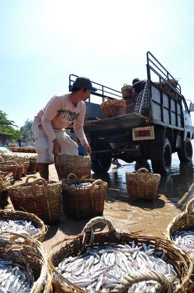 Και πάλι, Βιετνάμ - 26 Φεβρουαρίου 2012: Ντόπιους ψαράδες φόρτωμα αλιείας επάνω στο φορτηγό στο εργοστάσιο επεξεργασίας σε Lagi παραλία — Φωτογραφία Αρχείου