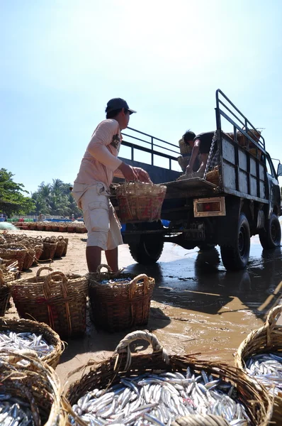 Lagi, Vietnam - 26 febbraio 2012: I pescatori locali stanno caricando la pesca sul camion allo stabilimento di trasformazione di Lagi beach — Foto Stock