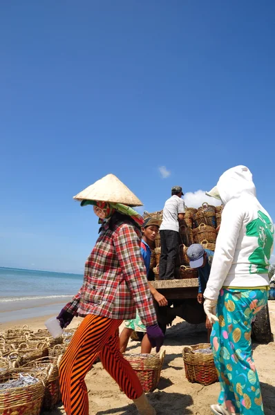 Lagi, Vietnam - February 26, 2012: Local women are uploading fisheries onto the truck to the processing plant in Lagi beach — Stock Photo, Image