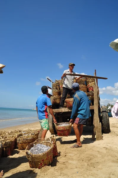 Lagi, Vietnam - 26 de febrero de 2012: Los pescadores locales están cargando pesquerías en el camión a la planta de procesamiento en la playa de Lagi —  Fotos de Stock