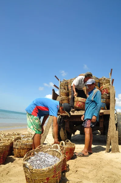 Lagi, Vietnam - 26 de febrero de 2012: Los pescadores locales están cargando pesquerías en el camión a la planta de procesamiento en la playa de Lagi —  Fotos de Stock