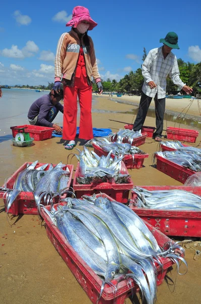 Lagi, Vietnam - 26 de febrero de 2012: Los pescadores locales están vendiendo sus peces a los lugareños y turistas en la playa Lagi —  Fotos de Stock