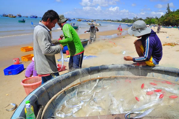 Lagi, Vietnam - February 26, 2012: Local fishermen are removing fishes from their fishing nets in the Lagi beach — Stock Photo, Image