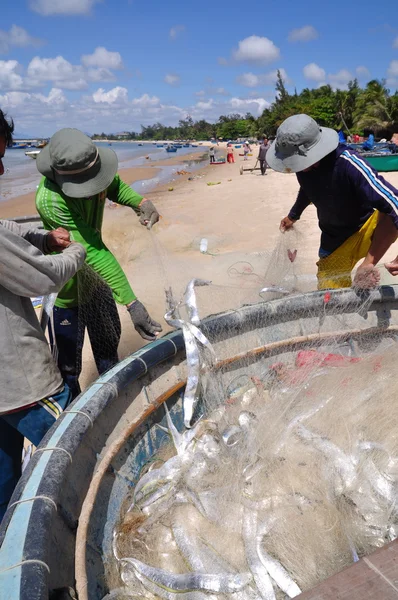 Lagi, Vietnam - February 26, 2012: Local fishermen are removing fishes from their fishing nets in the Lagi beach — Stock Photo, Image