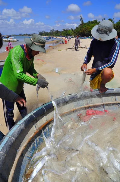 Lagi, Vietnam - February 26, 2012: Local fishermen are removing fishes from their fishing nets in the Lagi beach — Stock Photo, Image