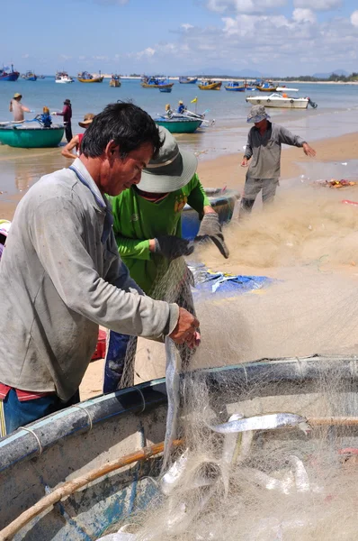 Lagi, Vietnam - February 26, 2012: Local fishermen are removing fishes from their fishing nets in the Lagi beach — Stock Photo, Image